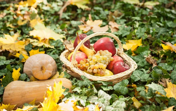 Different fruits and vegetables in basket on green grass. Autumn harvest vegetables outdoor (grapes, apples, pumpkin). Autumnal harvest vegetables and fruits in basket in a park. Thanksgiving — Stock Photo, Image