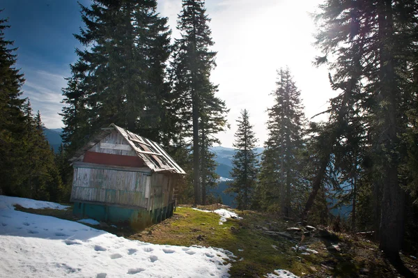 Velha casa de madeira na floresta. Majestoso pôr-do-sol na paisagem das montanhas. Paisagem do pôr do sol nas montanhas dos Cárpatos. Amanhecer nas montanhas Cárpatos, Romênia. Montanhas cobertas de neve — Fotografia de Stock