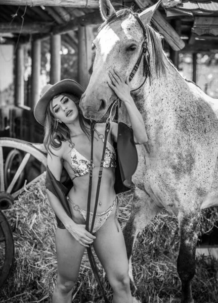 セクシーな田舎風と馬を持つ官能的なブルネットの女性 額のランジェリーと馬の女の子の肖像画 女の子が交流し 牧場で馬と楽しんでいます アメリカのセクシーカントリースタイル — ストック写真