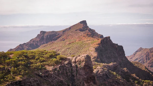 Tenerife adasının manzaraları