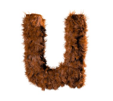 u