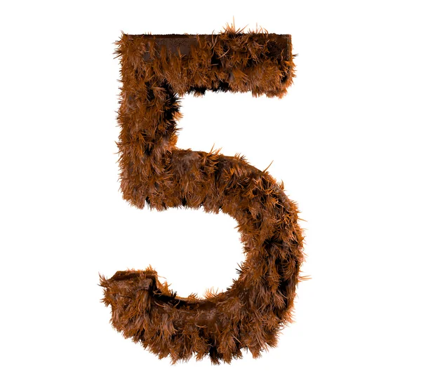 Five fur — Stock Photo, Image