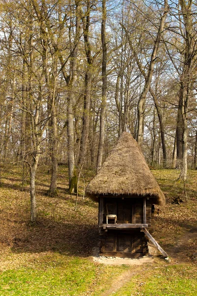 Capanna in legno nel bosco — Foto Stock