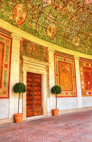 Parede pintada vívida com porta de madeira — Fotografia de Stock