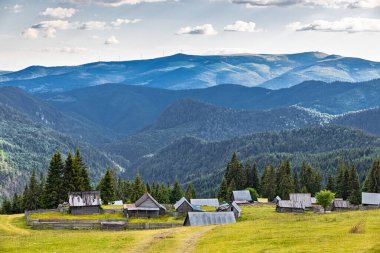 Summer settlements of villagers of Apuseni Mountains in Romania, in Poiana Calineasa place