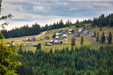 Summer settlements of villagers of Apuseni Mountains in Romania, in Poiana Calineasa place