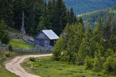 Summer settlements of villagers of Apuseni Mountains in Romania, in Poiana Calineasa place