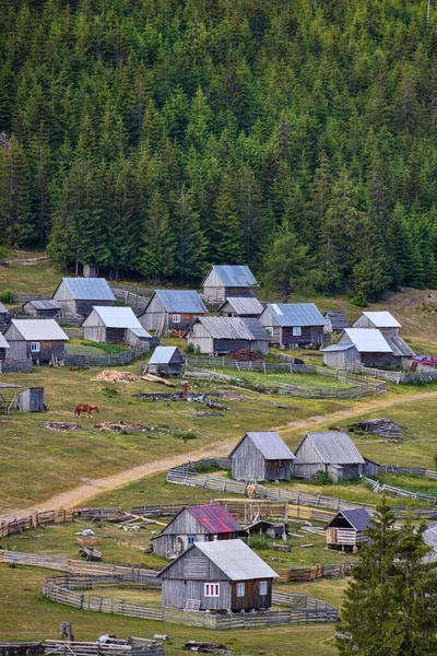 Summer Settlements Villagers Apuseni Mountains Romania Poiana Calineasa Place —  Fotos de Stock