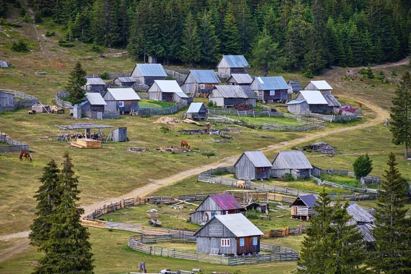 Summer Settlements Villagers Apuseni Mountains Romania Poiana Calineasa Place — Stock fotografie