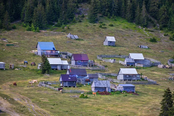 Summer Settlements Villagers Apuseni Mountains Romania Poiana Calineasa Place —  Fotos de Stock