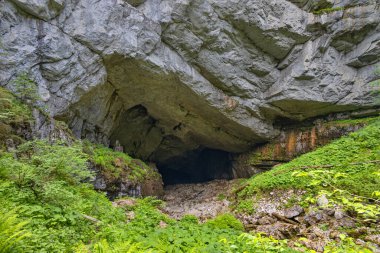 Coiba Mare it is a cave having a huge opening entrance, in Apuseni mountains, Romania