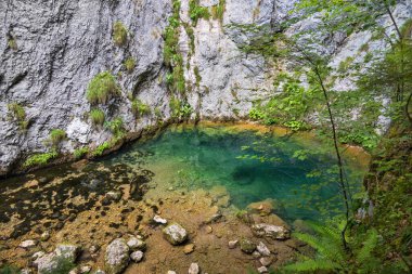 Izbucul Tauz it is a cave from where a river it is coming to the surface in Apuseni mountains