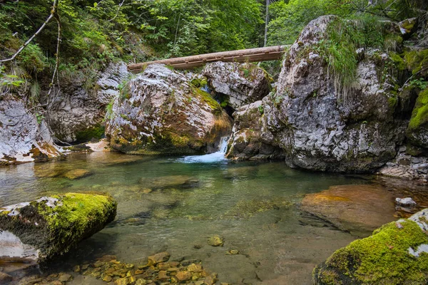 Nature Landscape Garda Seaca River Apuseni Mountains Romania — Stock fotografie