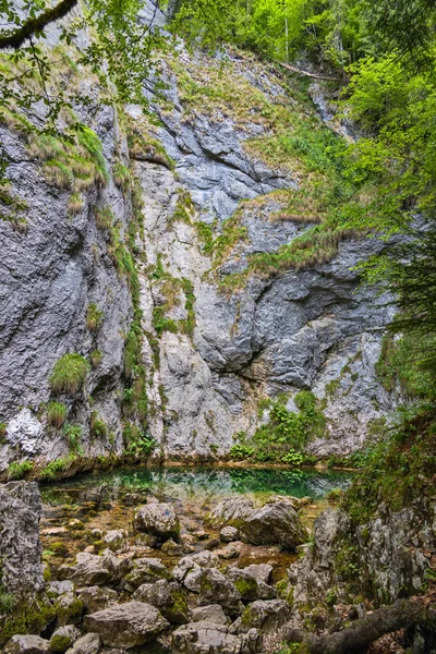 Izbucul Tauz Cave River Coming Surface Apuseni Mountains — Stock fotografie