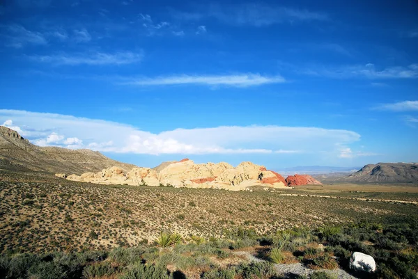 Scene in the Desert — Stock Photo, Image