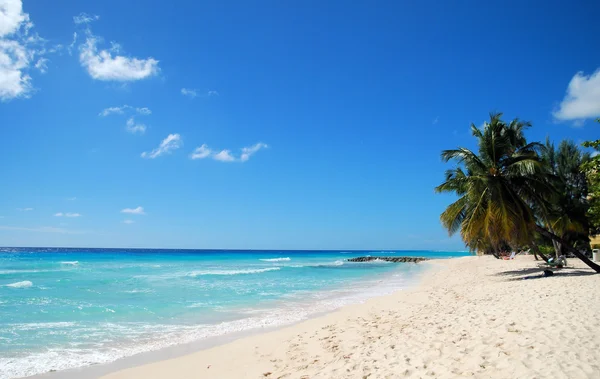 Ein Spaziergang am Strand — Stockfoto