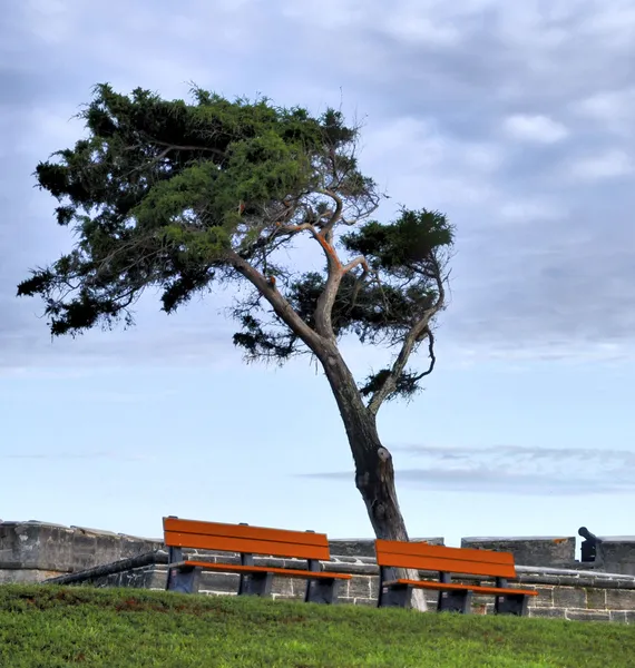 Wind wehte — Stockfoto