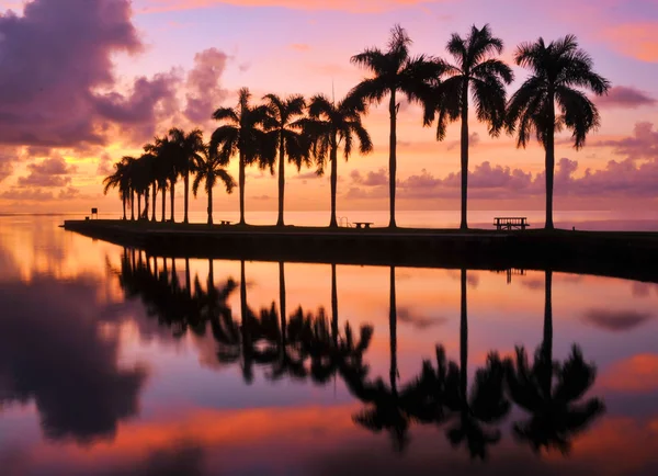 La belleza y la playa — Foto de Stock