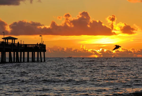 Métodos de pesca — Foto de Stock