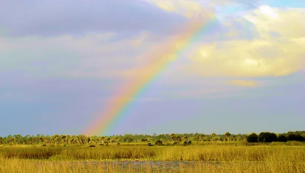 Arcobaleno delle zone umide — Foto Stock