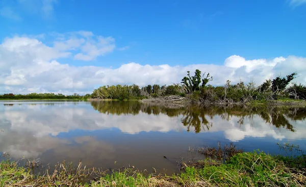 Eco reflexiones —  Fotos de Stock