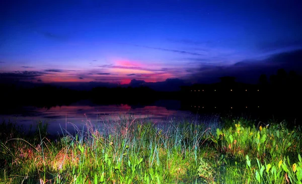 Wetlands Before Sunrise — Stock Photo, Image