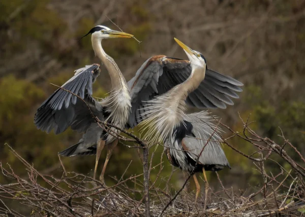 Heron knuffel — Stockfoto