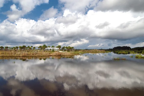 Refleksi Awan di Wellington — Stok Foto