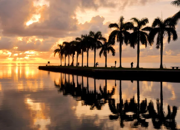 Levantar do sol de palmeira — Fotografia de Stock