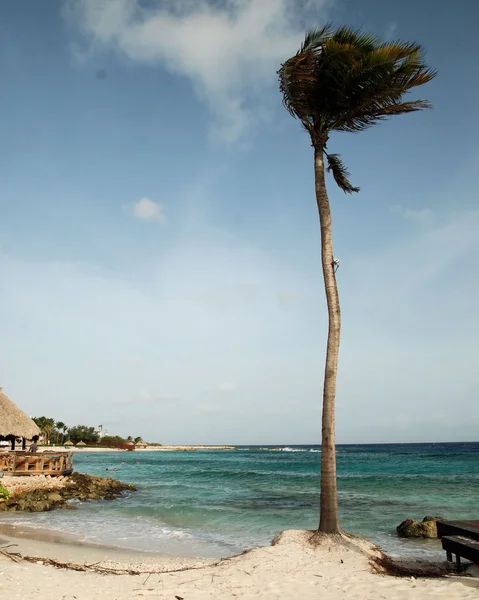 Utsikt från curacao — Stockfoto