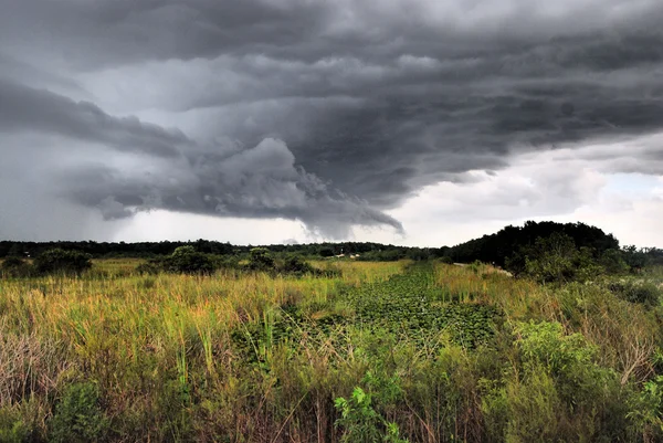 Everglades fırtınalar — Stok fotoğraf