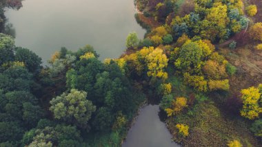 Sabahları iki göl ve sonbahar ormanının havadan görünüşü. Balık tutma yeri