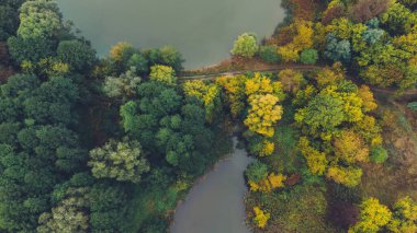 Sabahları iki göl ve sonbahar ormanının havadan görünüşü. Balık tutma yeri