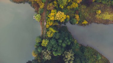 Sabahları iki göl ve sonbahar ormanının havadan görünüşü. Balık tutma yeri