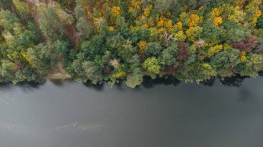 Hava manzarası - Sonbaharda vahşi nehir