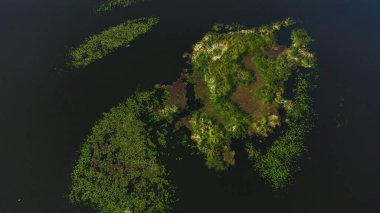 Nehirde avlanmak ve balık tutmak için mekanın havadan görüntüsü. Dnipro Nehri.