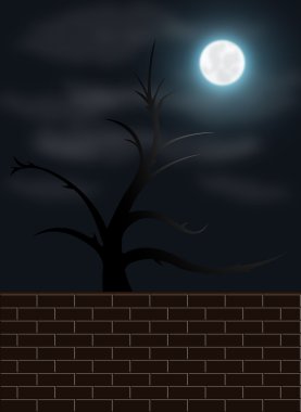 ürkütücü gece çekimi