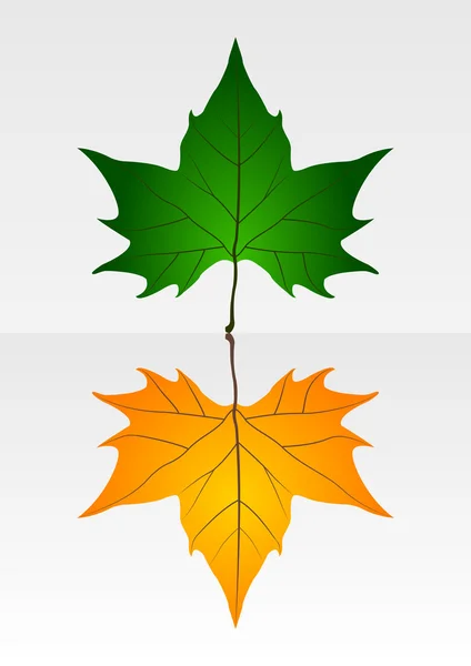 Trockene und knackige Blätter — Stockvektor