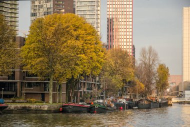 Rotterdam, Hollanda, 24 Kasım 2019: Wijnhaveneiland semtindeki tekne, ağaç ve konut kuleleri