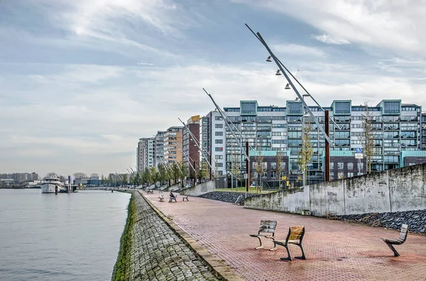 Rotterdam Paesi Bassi Novembre 2019 Banchina Lungo Fiume Nieuwe Maas — Foto Stock