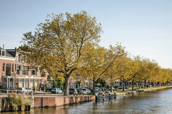 Delft Niederlande Oktober 2021 Blick Entlang Des Von Platanen Und — Stockfoto