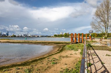 Rotterdam, Hollanda, 4 Kasım 2021: Van Brienenoord adasının batı ucu. Korse çelikten bir izleme platformu ve yeni oluşturulan gelgit doğası.