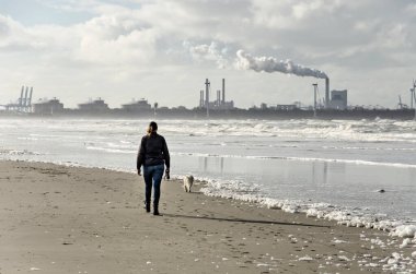 Hollanda Kancası, Hollanda, 5 Kasım 2021: Sahile yakın bir plajda köpeği gezdiren kadın, arka planda Maasvlakte endüstrisi var.