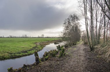 Muddy hiking trail between trees, bushes, ditches and meadows in Krimpenerwaard polder in the Netherlands under a dramatic sky
