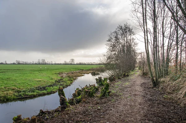 Muddy Hiking Trail Trees Bushes Ditches Meadows Krimpenerwaard Polder Netherlands — Photo
