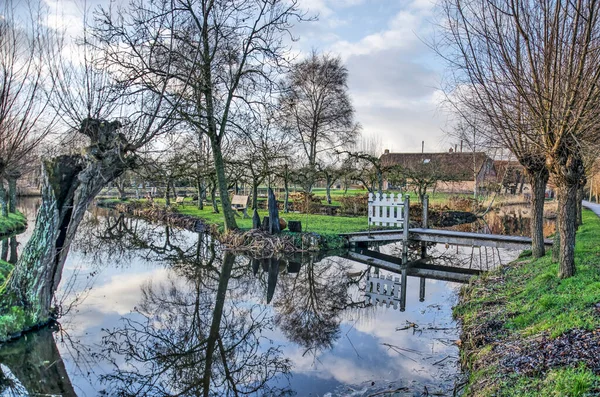 Vllist Netherlands Januari 2022 Pollard Willows Other Trees Reflecting Water — Stock fotografie