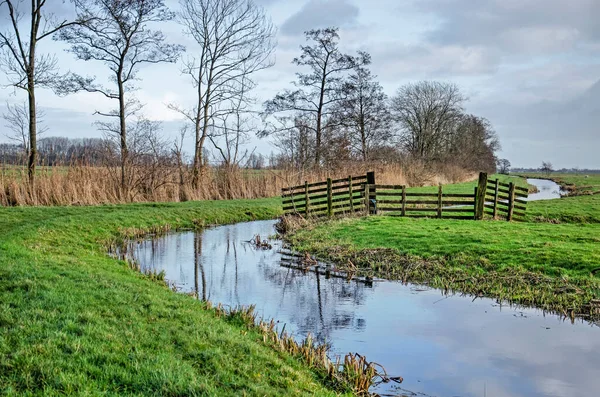 Picturesque Scene Krimpenerwaard Polder Netherlands Wooden Fence Meandering Ditch Lined — Photo
