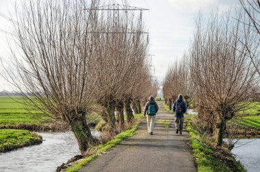 Oudewater, Hollanda. 22 Ocak 2021: Dar asfalt bir yolda iki yürüyüşçü, hendek, pollard söğütleri ve elektrik direkleriyle dolu.