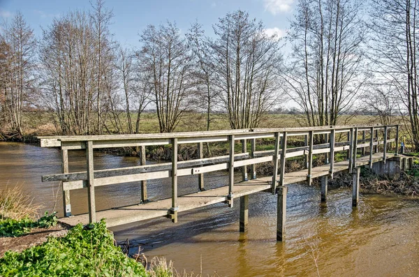 Pont Piétonnier Étroit Bois Traversant Large Fossé Dans Cadre Sentier — Photo