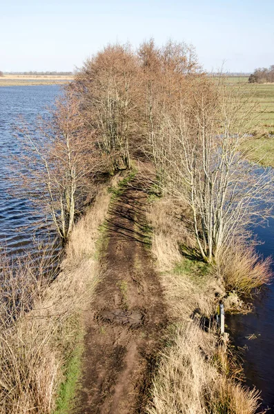 Vue Aérienne Sentier Randonnée Bordée Arbres Avec Eau Des Deux — Photo